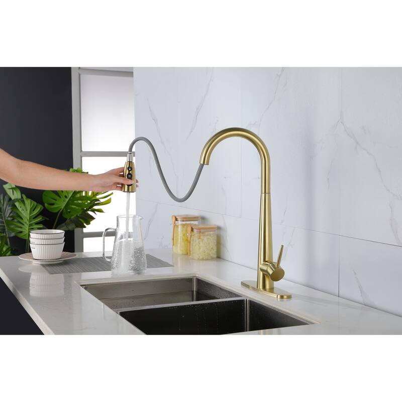 Single Handle Stainless Steel Kitchen Sink Faucet With Pull Down Sprayer