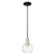 Option Clear / Black Antique Brass