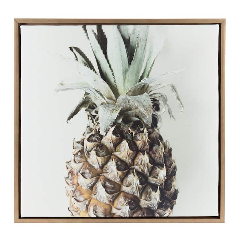 Kate and Laurel Sylvie Solo Pineapple Framed Canvas by F2 Images
