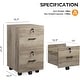preview thumbnail 46 of 44, 2-Drawer Rolling Wood File Cabinet with Lock