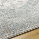 preview thumbnail 5 of 5, Livabliss Alpharetta Vintage Border Area Rug