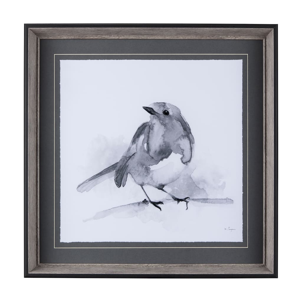 Robin BW I Framed Art Print