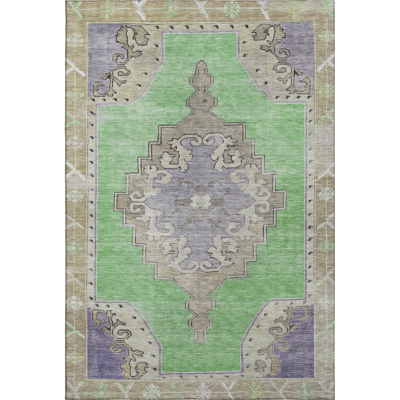 Premium Washable Super Soft Vintage Traditional Mayfield Rug