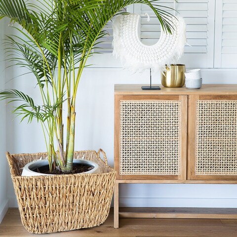 DreamPatio Luna Water Hyacinth Plant Pots (set of 3) - Set of 3
