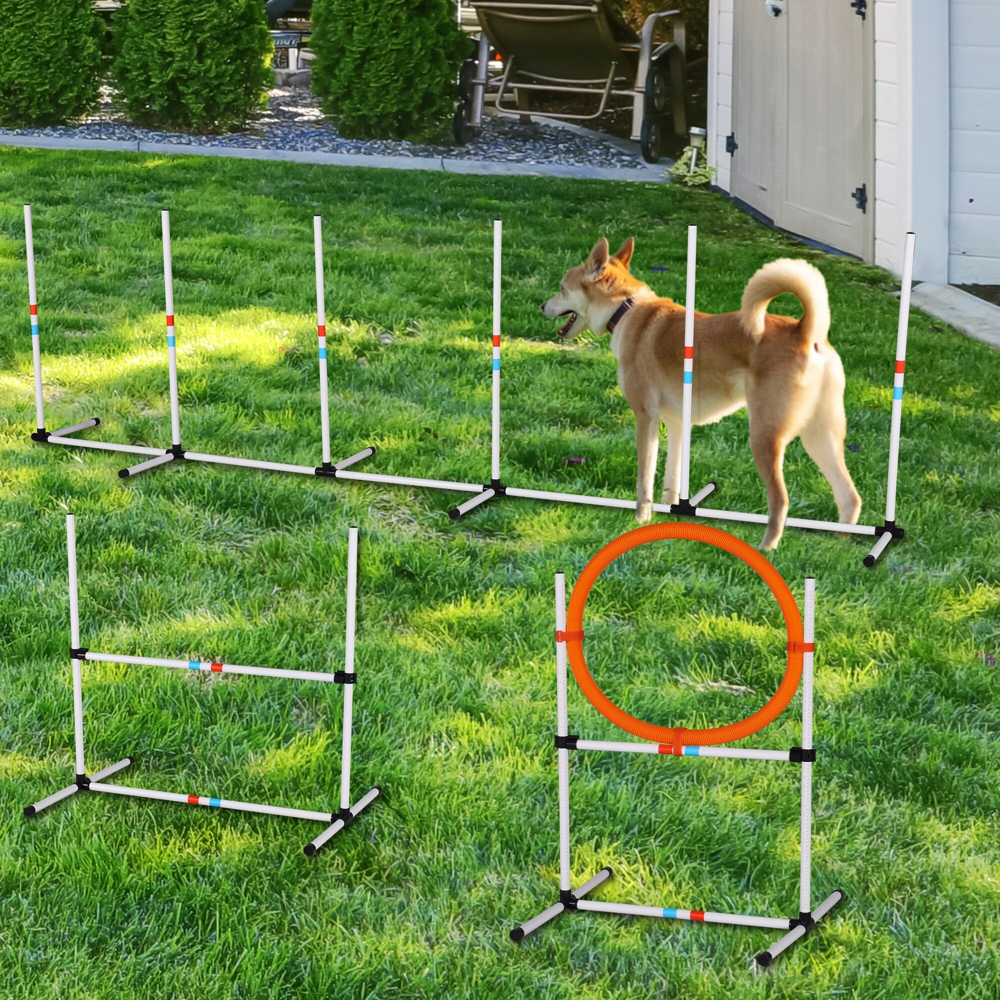 Better Sporting Dogs Agility-Trainingsleiter Für Hunde, Agility-Trainingsgerät