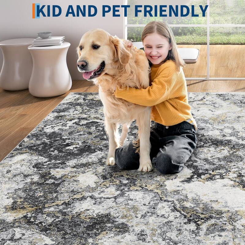 Machine Washable Area Rugs for Living Room, Modern Abstract Bedroom Rug, Low Pile Non-Slip Carpet