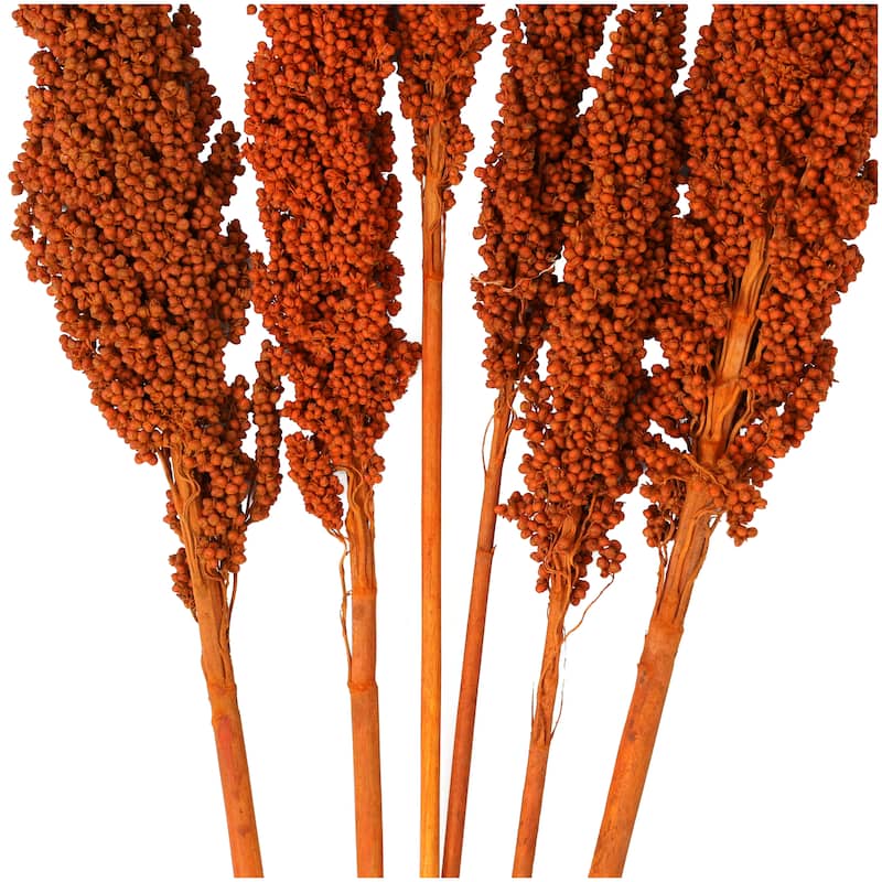 Orange Dried Plant Corn Maze Home Decor Natural Foliage with Long Stems