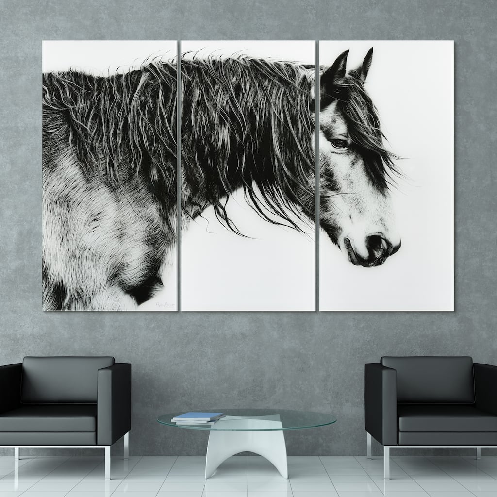 Black and White Horse Portrait ABC Frameless Free Floating Tempered Glass Panel Graphic Wall Art Set of 3