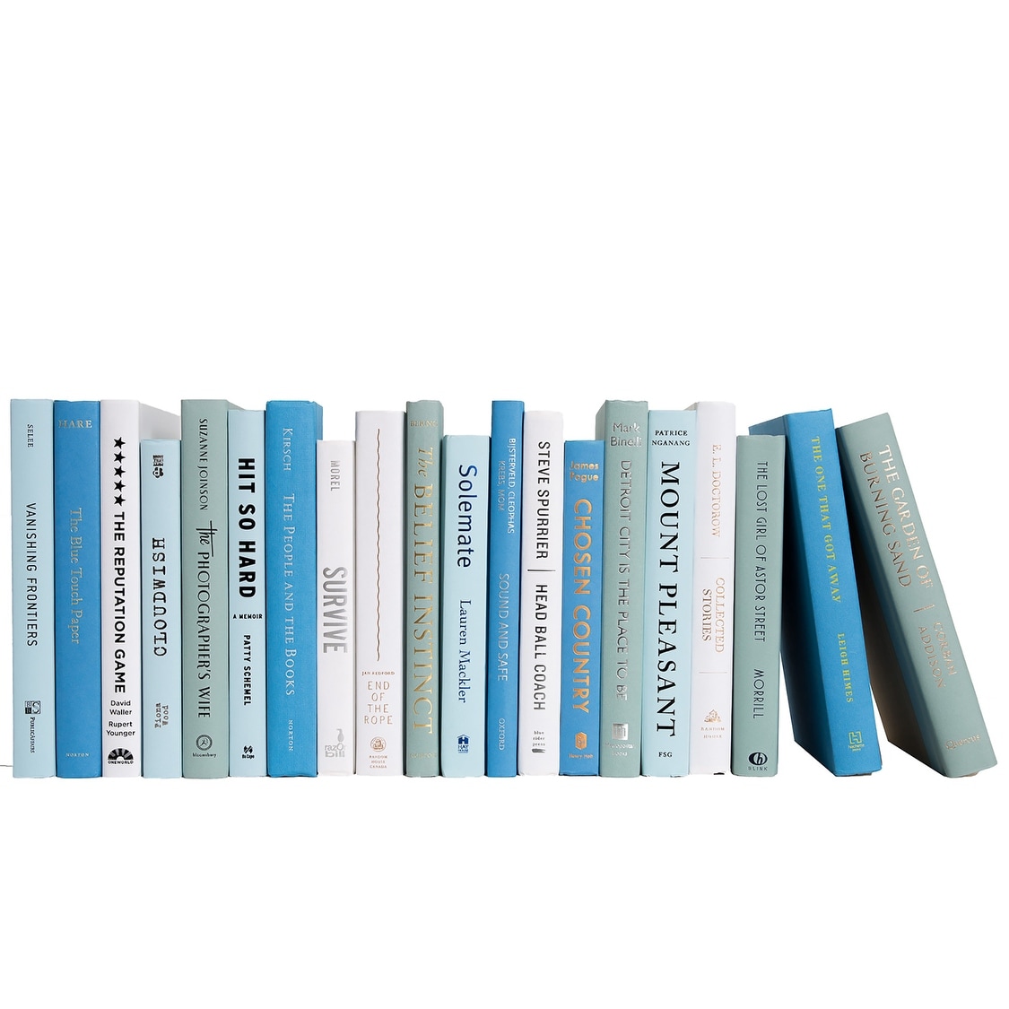 Decorative Books - Ocean Books - Blue Books