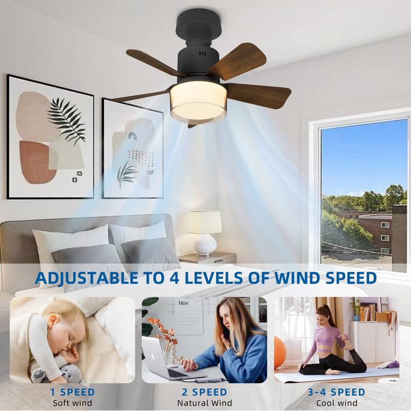 17.7 in. Indoor Socket Ceiling Fan Light with Remote, LED Light, 4 Fan Speeds, Dimmable, 3 Color Temperatures