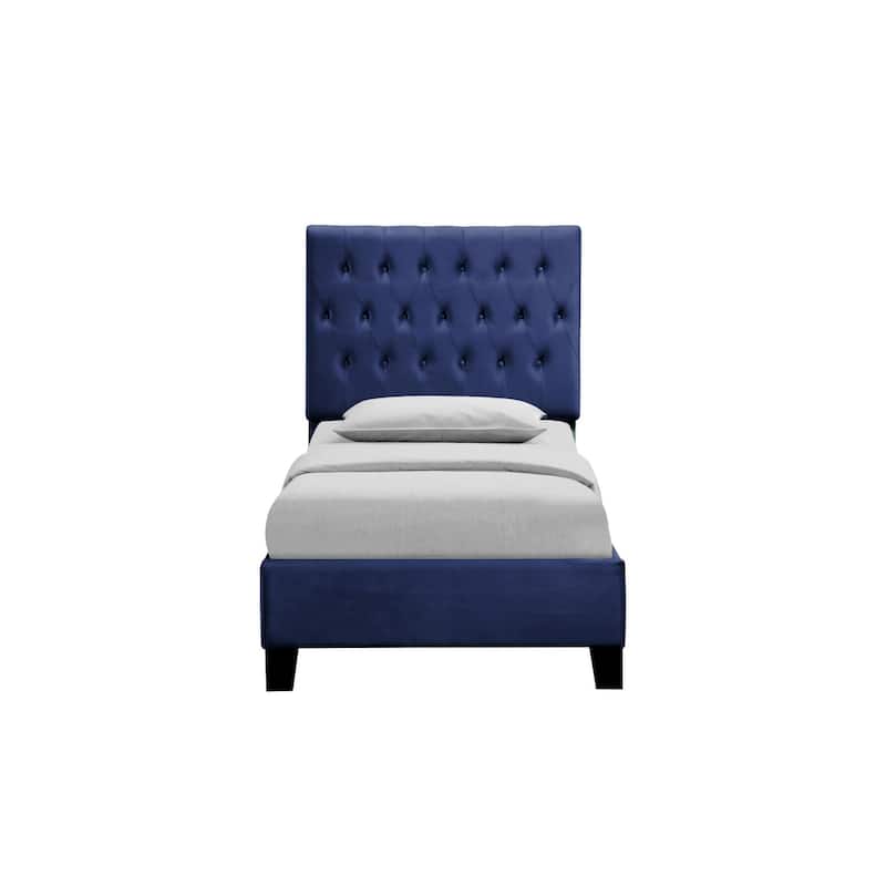 Navy Blue Queen Size Upholstered Bed Frame in Transitional Style with Elegant Design