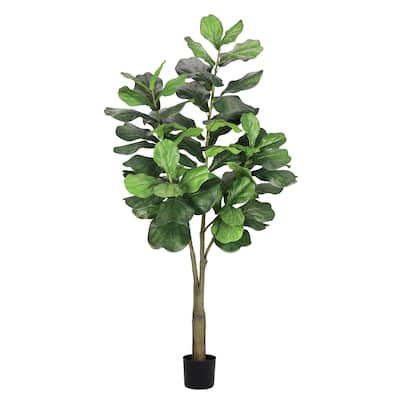 6ft Artificial Fiddle Leaf Fig Tree Plant in Black Pot - 72" H x 33" W x 33" DP