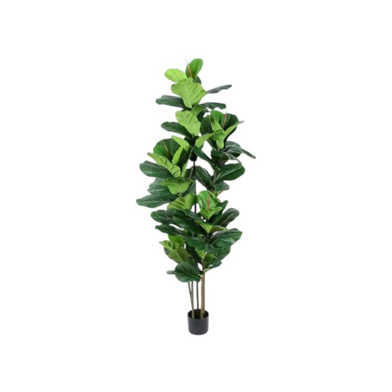 HomeRoots 73" Green Artificial Fiddle Leaf Tree in a Black Pot - 6.69 in. x 72.83 in. x 6.69 in.