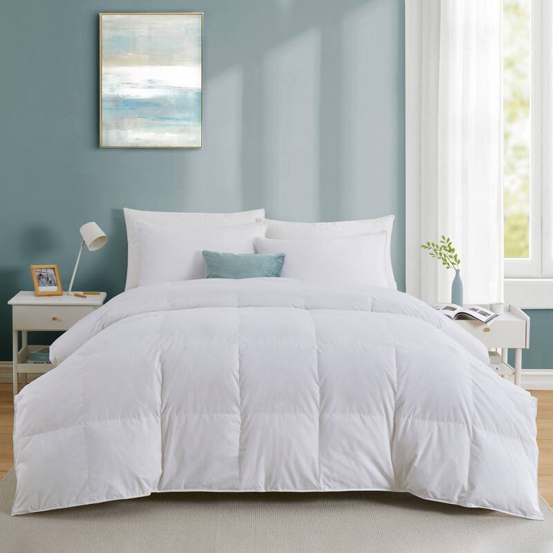 Light&All-Season Warmth White Goose Feather Down Comforter Duvet