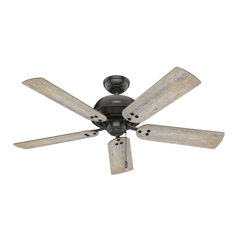Hunter 52" Shady Grove Ceiling Fan with LED Light Kit/ Pull Chain, Standard or Flush Mount - Casual, Transitional