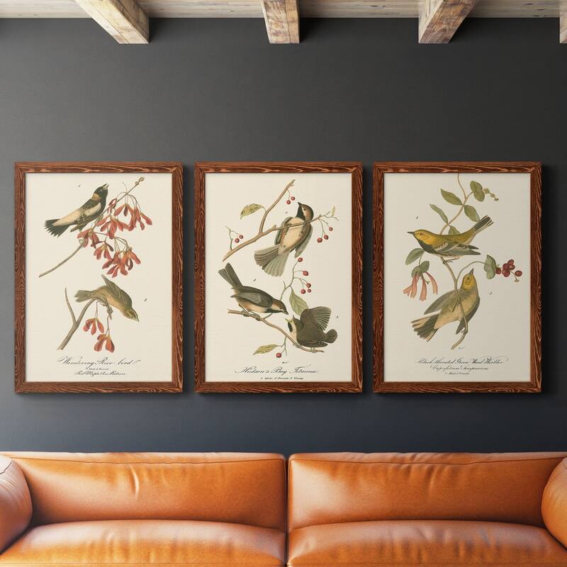 Wandering Rice Bird-Premium Framed Canvas - Ready to Hang - Multi-Color