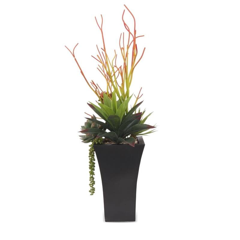 Pencil Cactus, Agave, Succulents Floral in Black Square Pot - Green - 16Wx12Dx20H