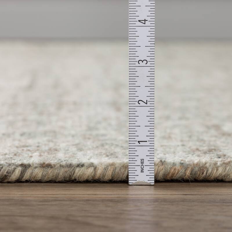 Addison Eastman Variegated Solid Wool Area Rug