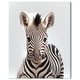 preview thumbnail 2 of 5, Wynwood Studio Canvas Animals Baby Animal Zebra Brown and Dark Brown Modern & Contemporary Wall Art Canvas Print - Brown, White