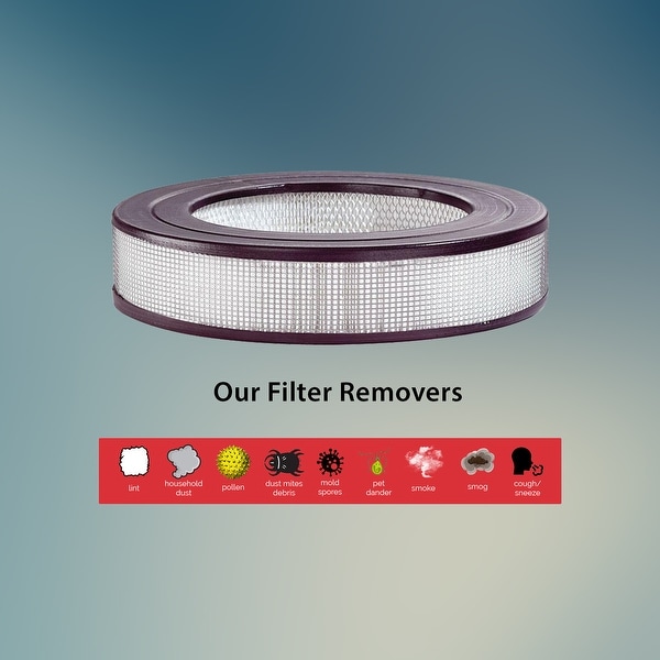 Honeywell 50200 shop replacement filter