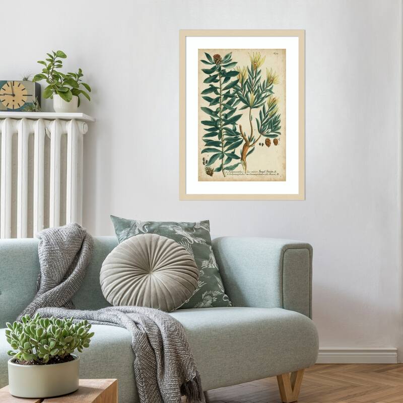 Weinmann Foliage and Fruit No. 4 by Johann Wilhem Weinmann Wood Framed Wall Art Print - Svelte Natural