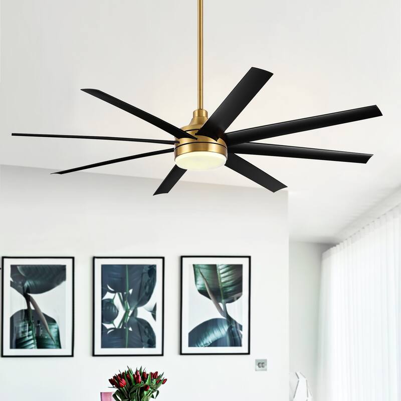 65 Inch Black/White/Gold LED Ceiling Fan with Light Remote(8-Blade)