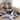 World Rug Gallery Geometric Circles Area Rug