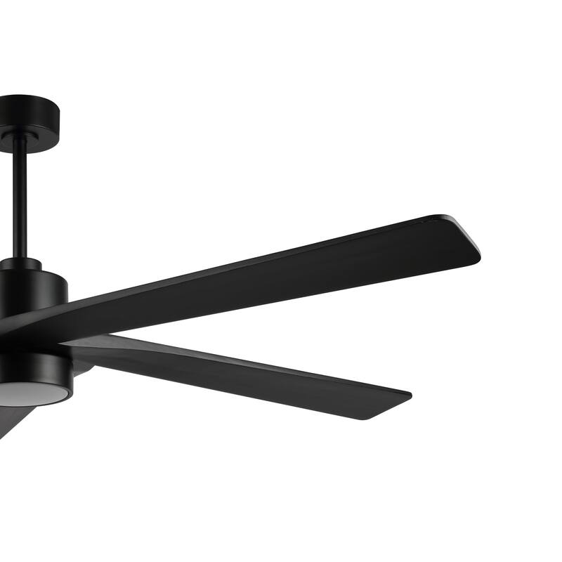 WINGBO 54 DC Ceiling Fan with Lights and Remote Control, 5 Reversible Carved Wood Blades