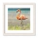 preview thumbnail 2 of 5, Flamingo Fancy II - 17.5'' x 17.5''