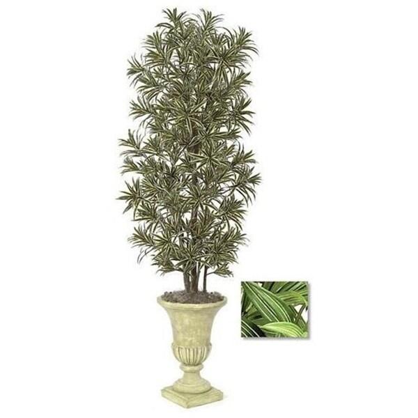 Autograph Foliages W-2756 - 7 Foot Dracaena Reflexa Tree - Green-White
