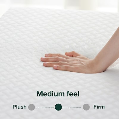Priage by ZINUS 8-inch Green Tea Cool Mate Memory Foam Mattress