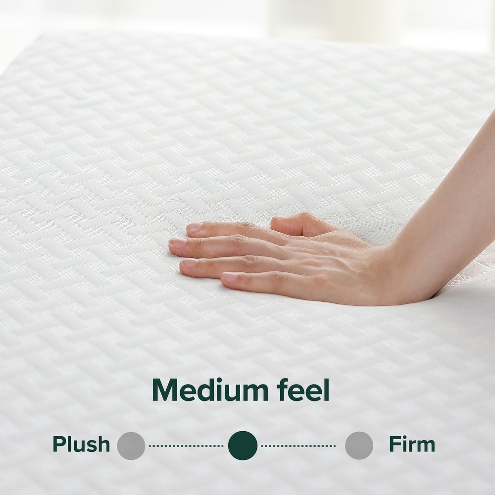 Priage by ZINUS 8-inch Green Tea Cool Mate Memory Foam Mattress