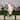 LED Solar Lighted Boy and Girl with Lantern Outdoor Garden Statue - 19.5"