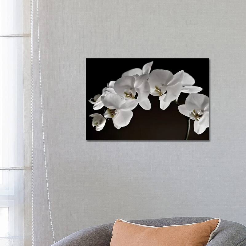 iCanvas "Orchids" by Symposium Design Canvas Print - 18x26x1.5