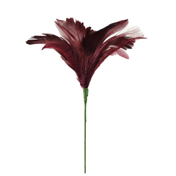 Pack of 4 Cordovan Large Duck Feather Flower Stem 24" - N/A