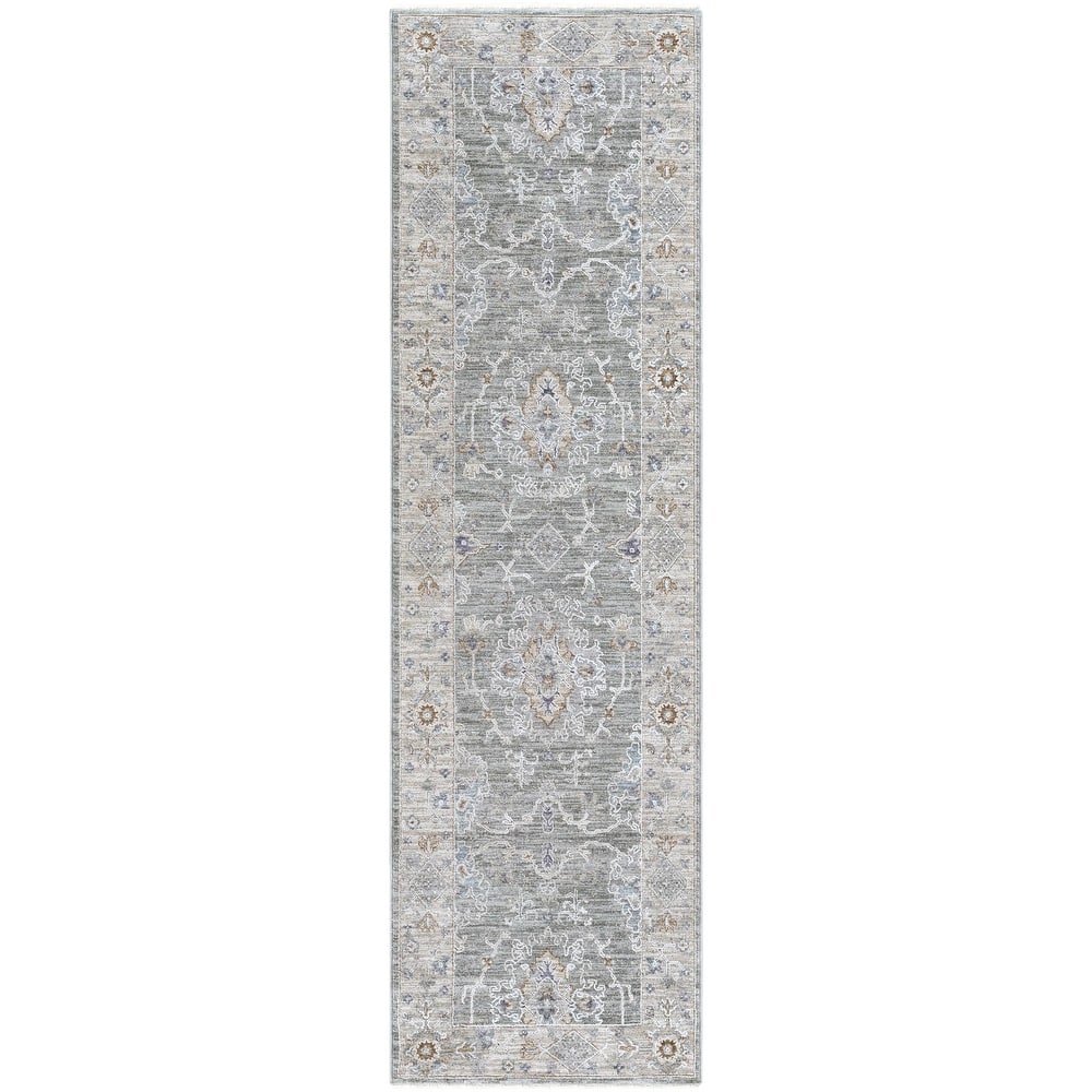 Hunza Updated Traditional Medallion Area Rug