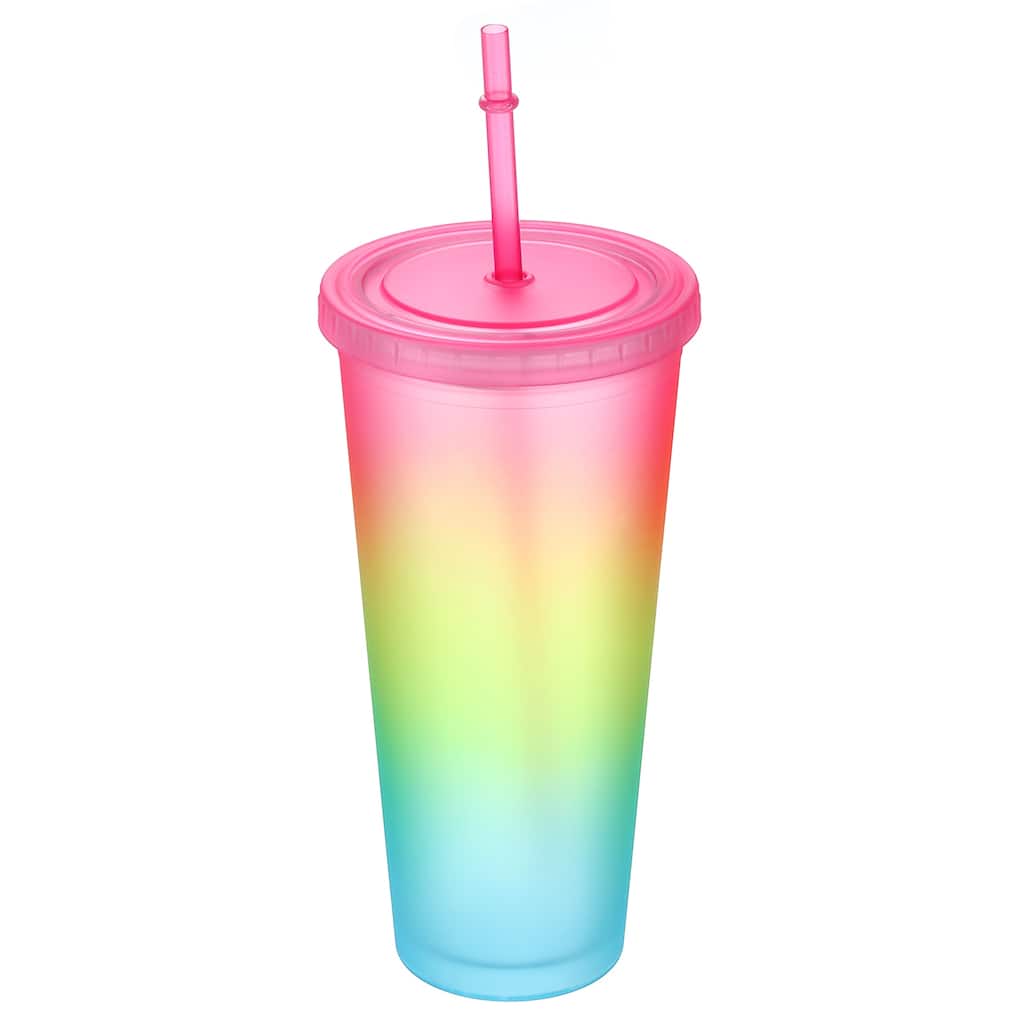 Acrylic Tumbler with Lid and Straw, 24 Oz Insulated Double Wall Cups