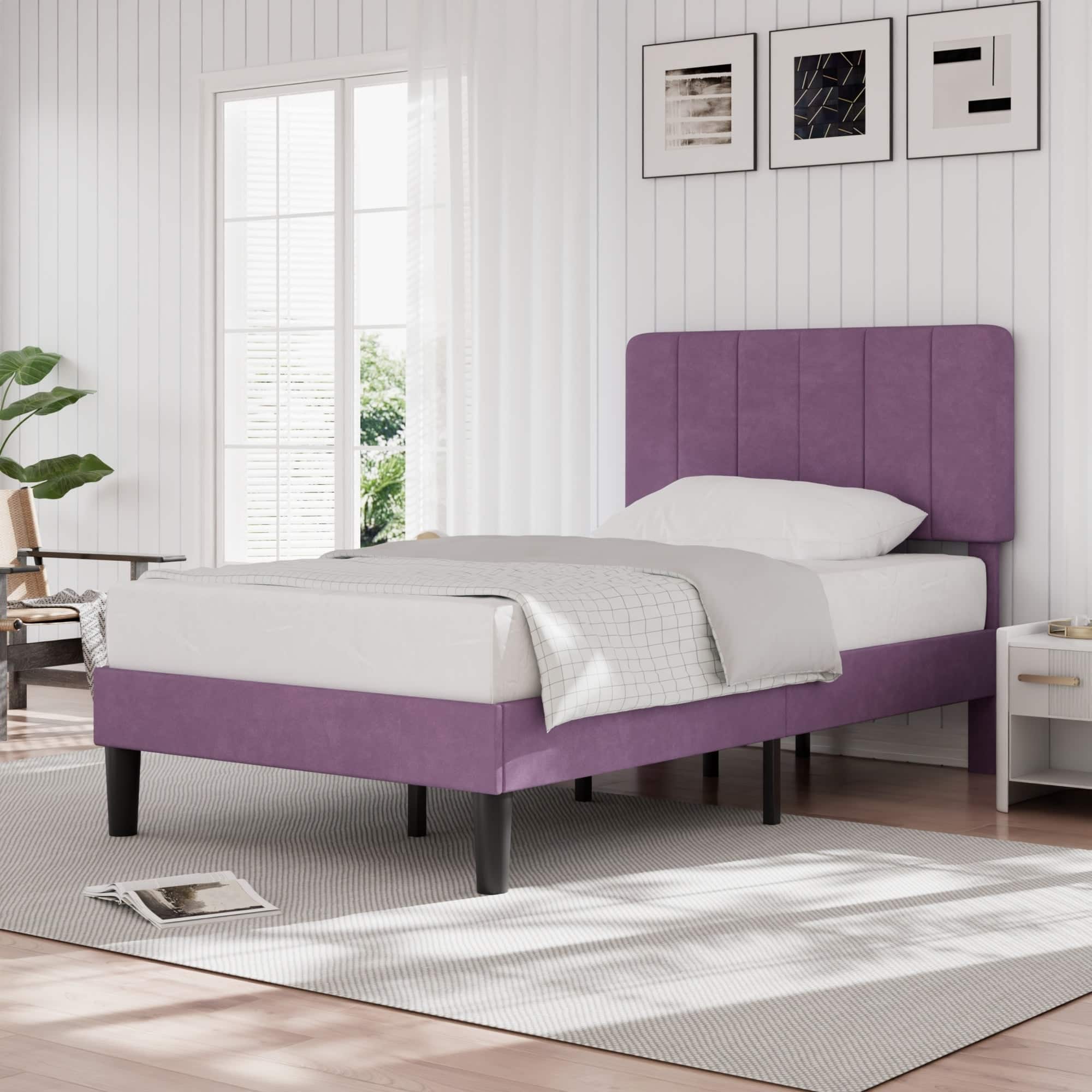 Option Purple