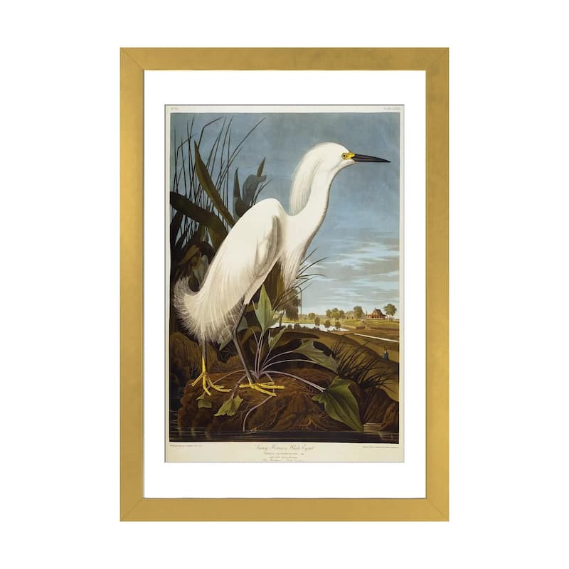 iCanvas "Snowy Heron Or White Egret / Snowy Egret " by John James Audubon - Gold - 32x24x1