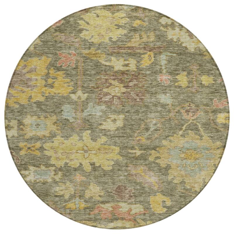 Machine Washable Indoor/ Outdoor Vintage Traditional Chantille Rug