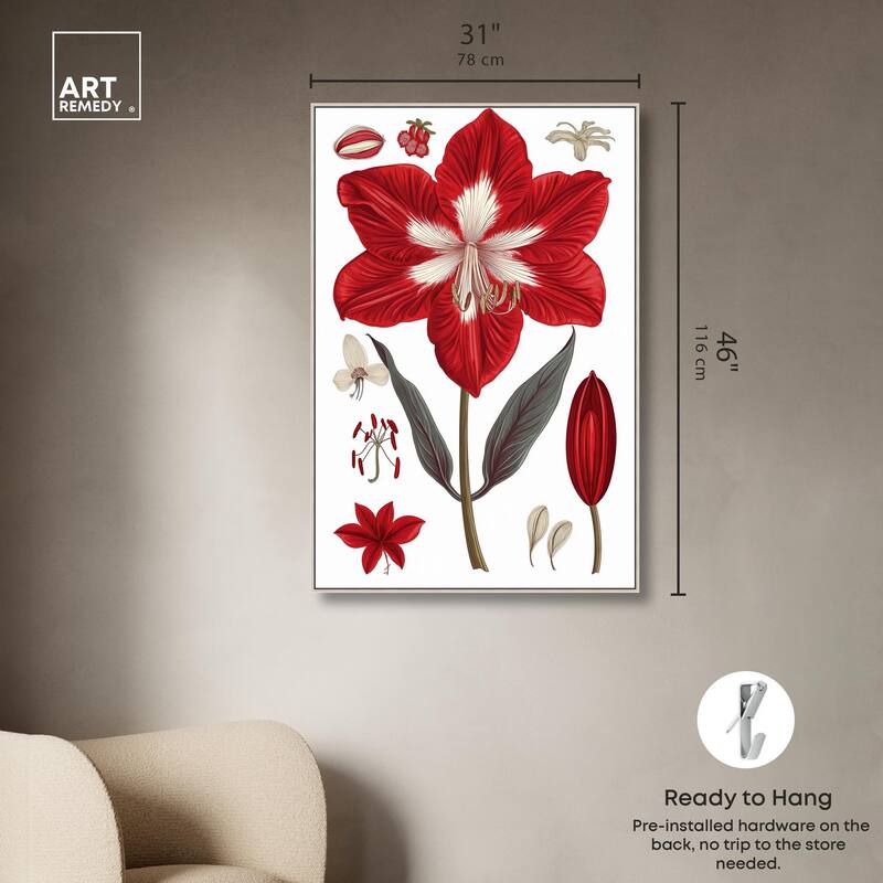 Amaryllis Anatomy Canvas by Art Remedy