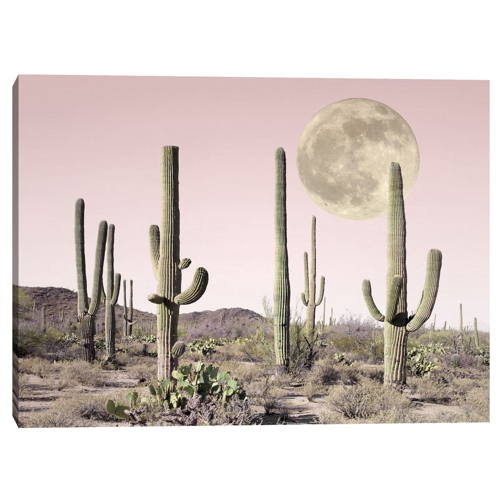 Blush Cactus Desert by Sisi and Seb Canvas Art Print
