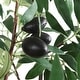 preview thumbnail 4 of 3, Uttermost Olea Potted Olive Tree