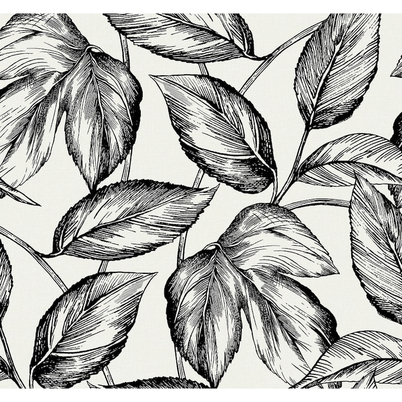 Seabrook Designs Beckett Sketched Leaves Unpasted Wallpaper - 27 in W x 27 ft. L - Volcanic Black