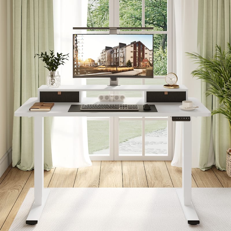 FlexiSpot 48"x24"/55"x24" Ergonomic Height Adjustable Standing Desk with 2 Drawers, Monitor Stand Computer Desk