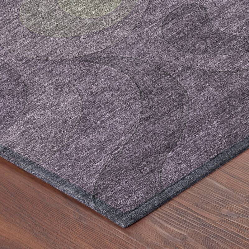 Machine Washable Indoor/ Outdoor Modern Dejuan Chantille Rug