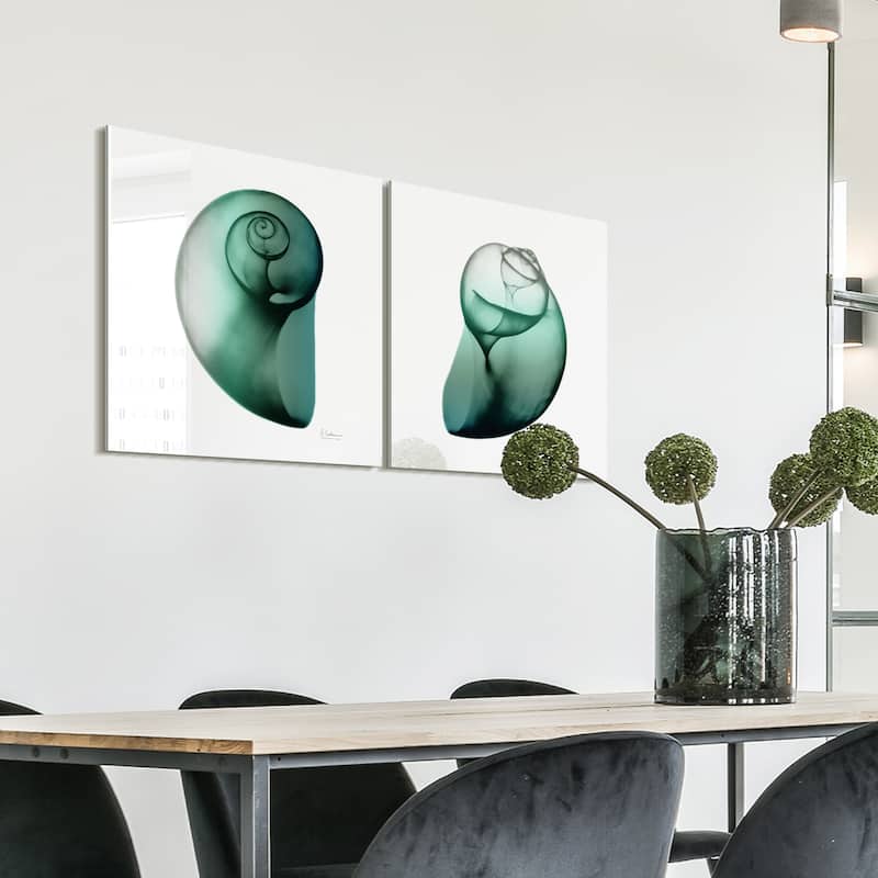 "Shimmering Snail I & II" Frameless Free Floating Tempered Glass Panel Graphic Wall Art - White