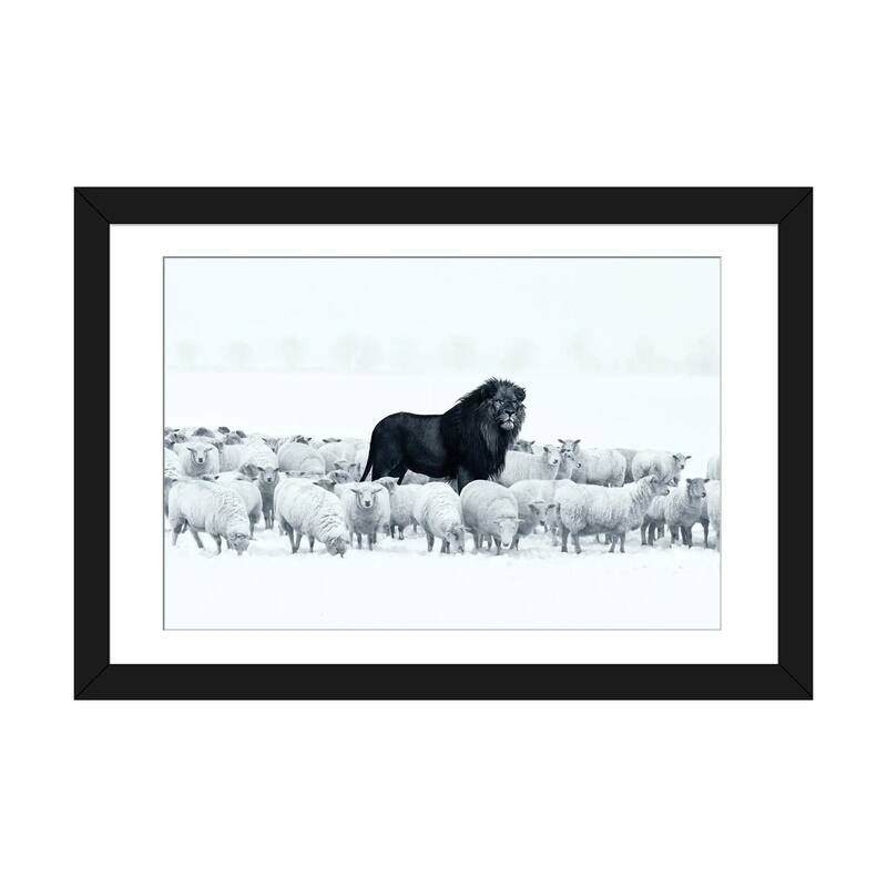 iCanvas "Lion Among Sheep" by Ruvim Noga - Black - 24x32x1