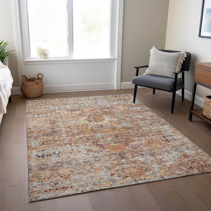 Machine Washable Indoor/ Outdoor Vintage Traditional Chantille Rug