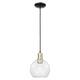 Option Clear / Black Antique Brass